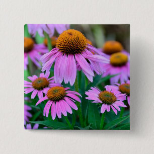 Chapa Cuadrada Coneflower