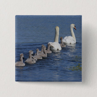 Chapa Cuadrada Convoy de cisnes