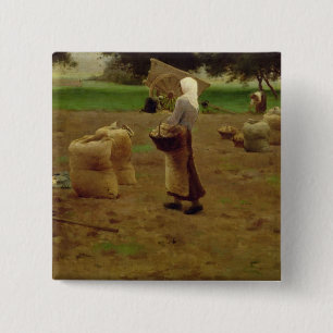 Chapa Cuadrada Cosecha de las patatas