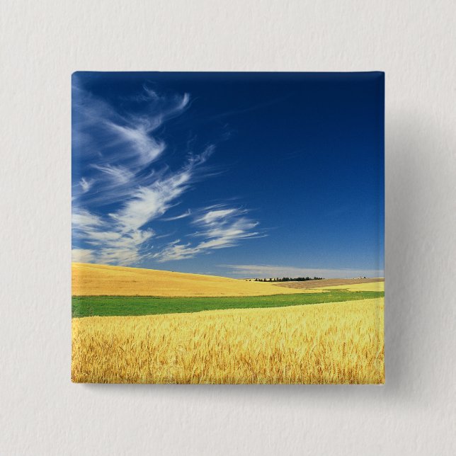 Chapa Cuadrada Cosecha de trigo en el Palouse, en el este (Anverso)