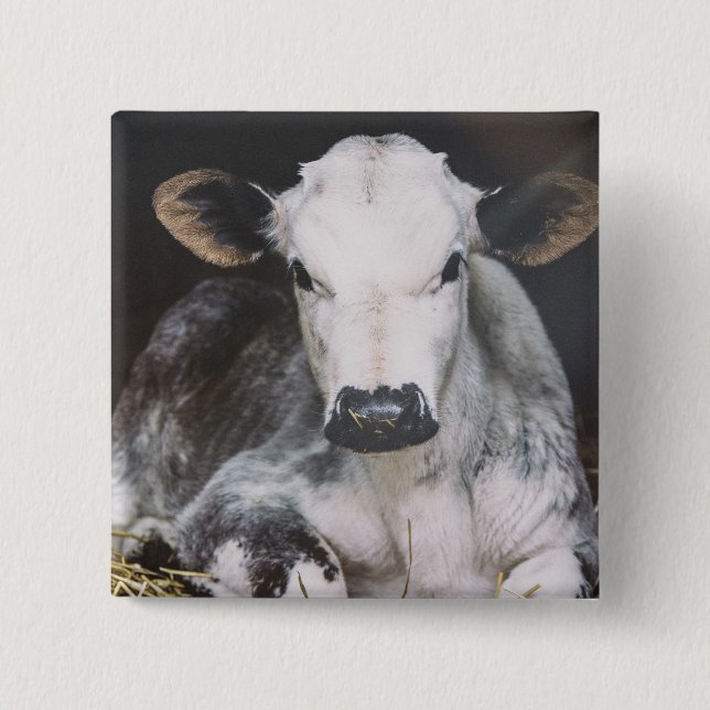 Chapa Cuadrada Cosecha ocupada del día (Anverso)