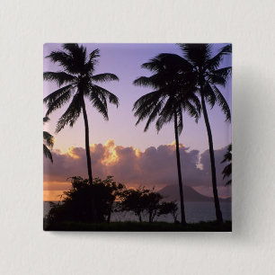 Chapa Cuadrada Costa de San Cristóbal