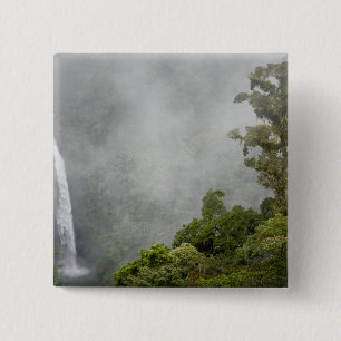 Chapa Cuadrada Costa Rica, bosque nublado en las montañas cerca 