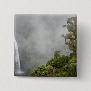 Chapa Cuadrada Costa Rica, bosque nublado en las montañas cerca 