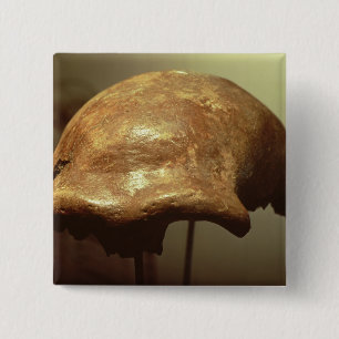 Chapa Cuadrada Cráneo de un Neanderthal