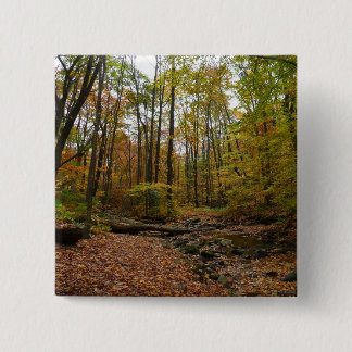 Chapa Cuadrada Creek otoño en el Parque Estatal Laurel Hill