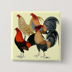 Chapa Cuadrada Cuatro Gamecocks