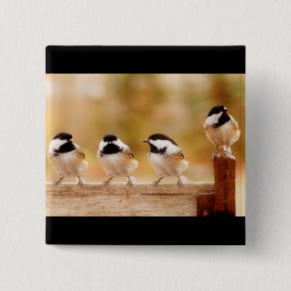 Chapa Cuadrada Cuatro pequeños chickadees