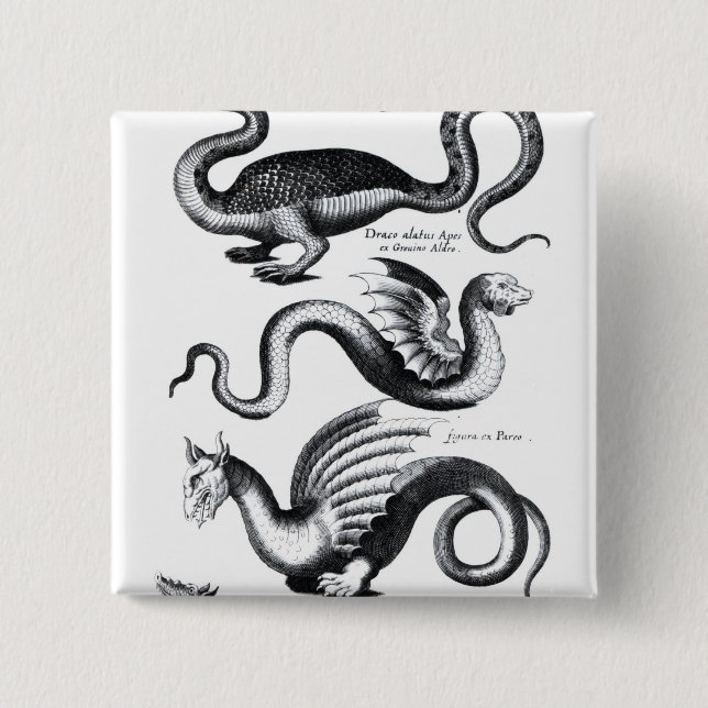 Chapa Cuadrada Cuatro tipos de dragón (Anverso)