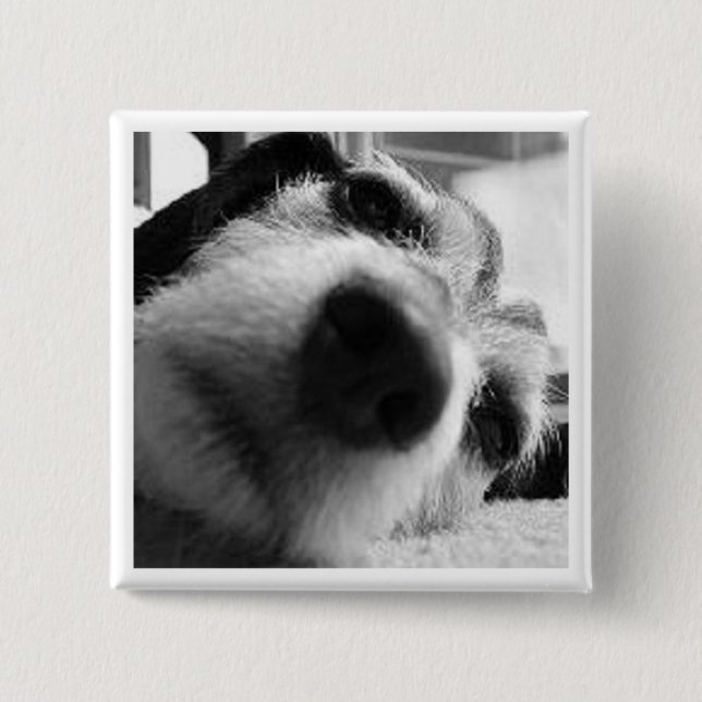 Chapa Cuadrada Cubierta retrospectiva (Anverso)