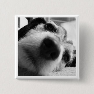 Chapa Cuadrada Cubierta retrospectiva