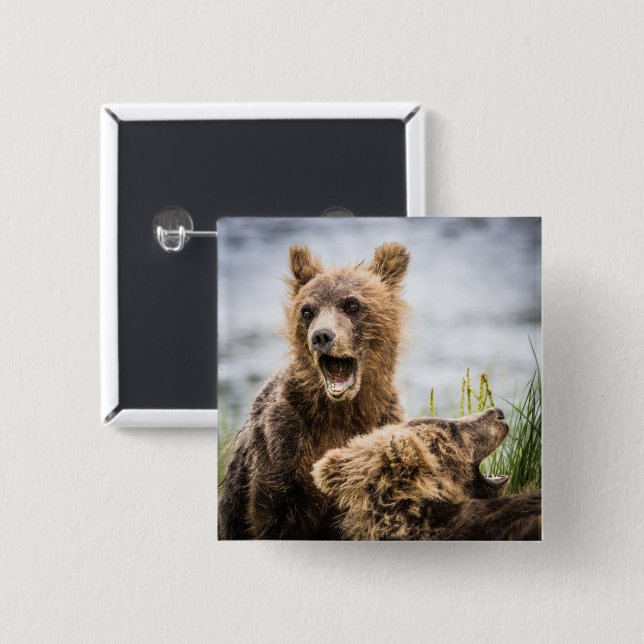 Chapa Cuadrada Cubos Grizzly Buscando Su Mamá (Anverso y reverso)