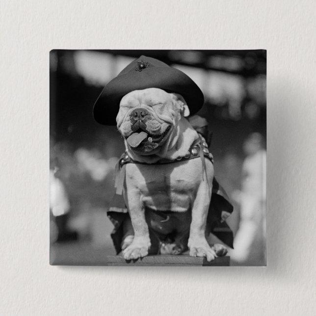 Chapa Cuadrada Cuerpo del Marines mascota, los años 20 (Anverso)