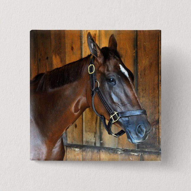 Chapa Cuadrada Curalina (Anverso)