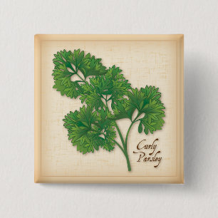 Chapa Cuadrada Curly Parsley Herb