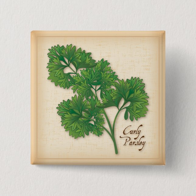 Chapa Cuadrada Curly Parsley Herb (Anverso)