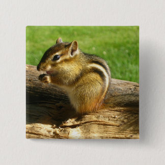 Chapa Cuadrada Cute Chipmunk