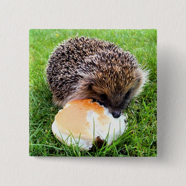 CHAPA CUADRADA CUTE HEDGEHOG (Anverso)
