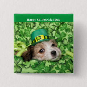 Chapa Cuadrada Cute Irish Puppy Background  
