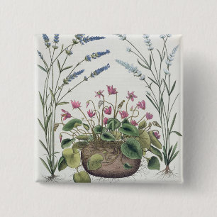 Chapa Cuadrada Cyclamen y lavanda: 1.Cyclamen Romanum; 2.Spica