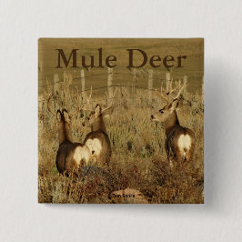 Chapa Cuadrada D30 Mule Deer Bucks