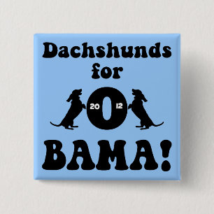 Chapa Cuadrada dachshunds para Obama
