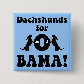 Chapa Cuadrada dachshunds para Obama