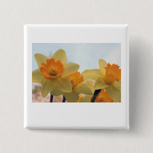 Chapa Cuadrada Daffodiles