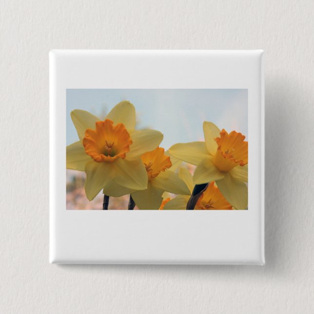 Chapa Cuadrada Daffodiles (Anverso)