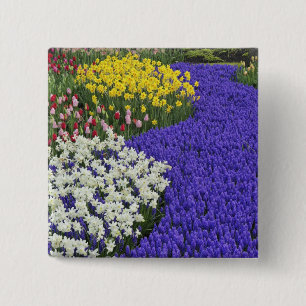 Chapa Cuadrada Daffodils y Hyacinth de uva, Keukenhof 2