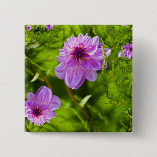 Chapa Cuadrada Dahlia Rosa Fantasía