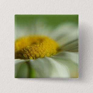 Chapa Cuadrada Daisy fresco