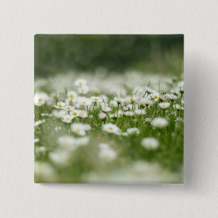 Chapa Cuadrada Daisy Meadow