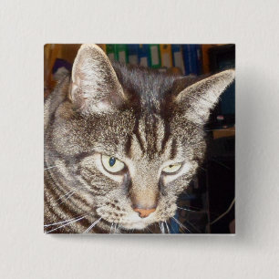 Chapa Cuadrada Dave está vigilando tu placa cuadrada