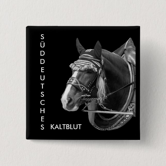 Chapa Cuadrada de alemania del sur, Sw3526 KALTBLUT (Anverso)