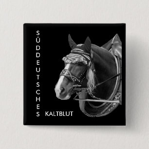 Chapa Cuadrada de alemania del sur, Sw3526 KALTBLUT