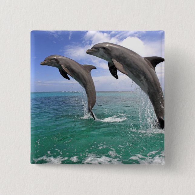 Chapa Cuadrada Delfin (Anverso)