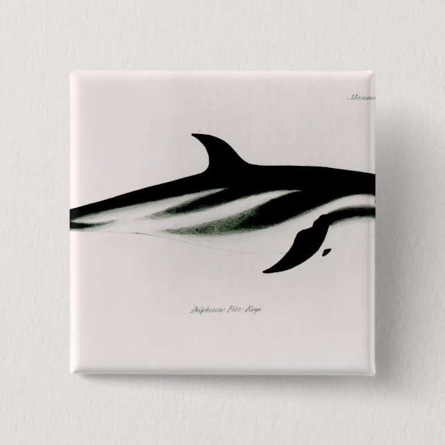 Chapa Cuadrada Delfín (Anverso)