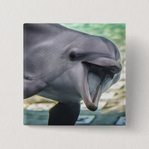 Chapa Cuadrada Delfín de las imágenes el   de Getty