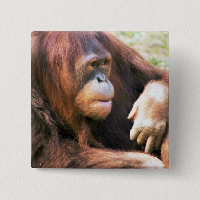 Chapa Cuadrada Descanso del orangután (Anverso)