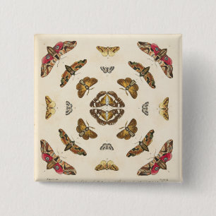 Chapa Cuadrada Detalle de la placa VIII