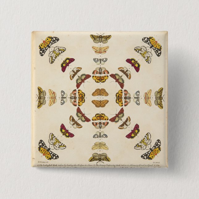 Chapa Cuadrada Detalle de la placa XI (Anverso)