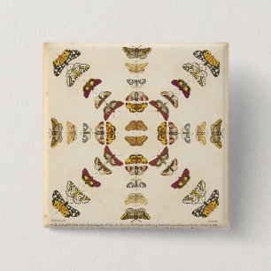 Chapa Cuadrada Detalle de la placa XI