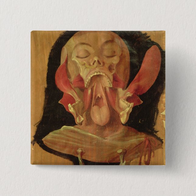 Chapa Cuadrada Dibujo anatómico de la cabeza (Anverso)