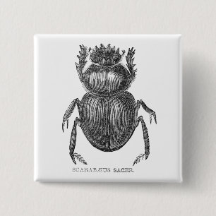 Chapa Cuadrada Dibujo vintage a pluma y tinta del escarabajo