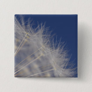 Chapa Cuadrada Dientes de león