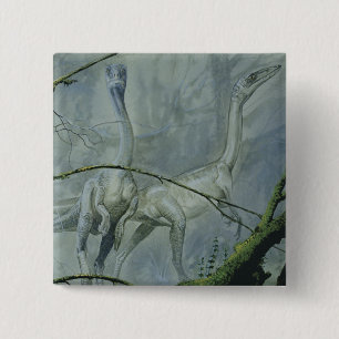 Chapa Cuadrada Dinosaurios antiguos, Megapnosaurus también conoci