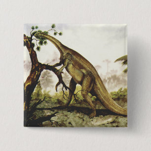 Chapa Cuadrada Dinosaurios de época, Plateosaurus Grazing on Tree