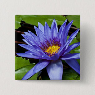 Chapa Cuadrada Diseño Botánico Floral de Nenúfar Tropical
