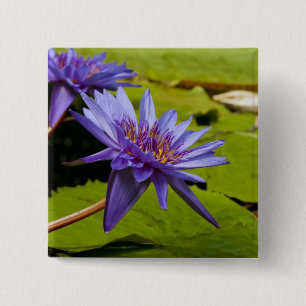 Chapa Cuadrada Diseño Botánico Floral de Nenúfar Tropical